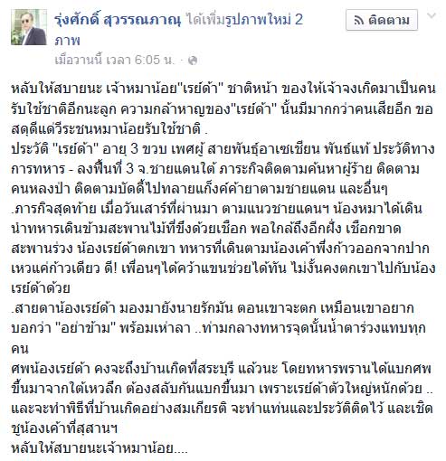 เรย์ด้า สุนัขทหาร 3 จังหวัดชายแดนใต้ เรย์ด้า สุนัขทหาร 3 จังหวัดชายแดนใต้