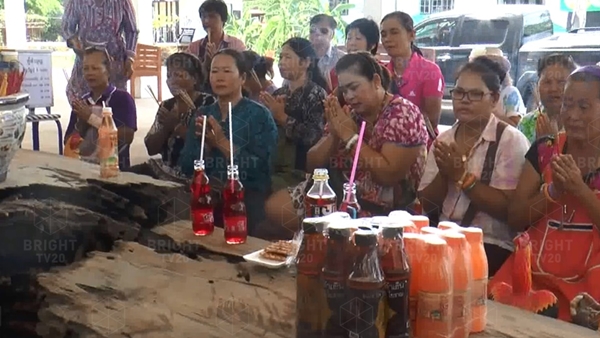 ตะเคียนทองยักษ์อายุกว่า 1,200 ปี พบใบหน้าคล้ายผู้หญิง ตะเคียนทองยักษ์อายุกว่า 1,200 ปี พบใบหน้าคล้ายผู้หญิง