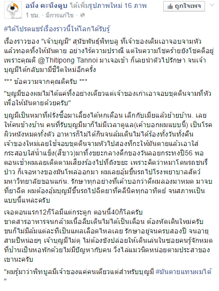 เจ้าบุญมี พิทบูลถูกฟันหัว เจ้าบุญมี พิทบูลถูกฟันหัว
