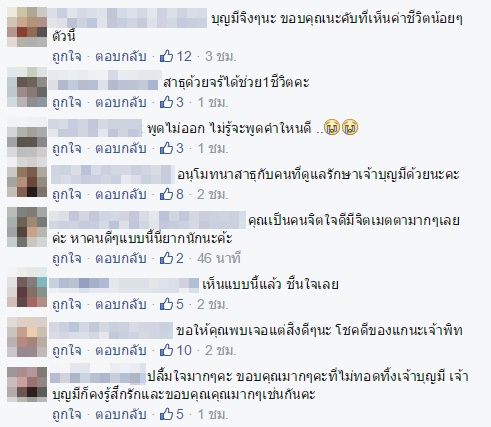 เจ้าบุญมี พิทบูลถูกฟันหัว เจ้าบุญมี พิทบูลถูกฟันหัว