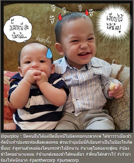 แม่พลอย น้องพูม่า น้องแพนเตอร์ แม่พลอย น้องพูม่า น้องแพนเตอร์