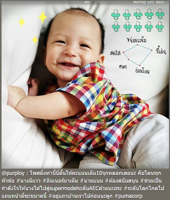 แม่พลอย น้องพูม่า น้องแพนเตอร์ แม่พลอย น้องพูม่า น้องแพนเตอร์