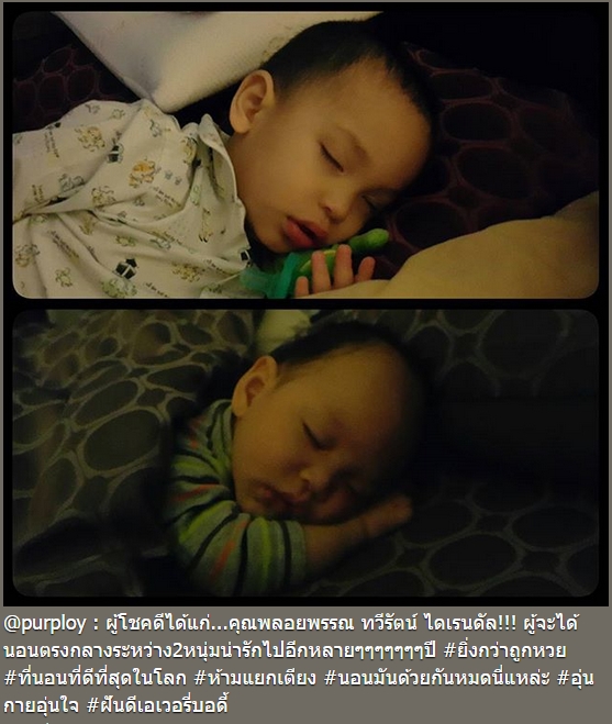 แม่พลอย น้องพูม่า น้องแพนเตอร์ แม่พลอย น้องพูม่า น้องแพนเตอร์