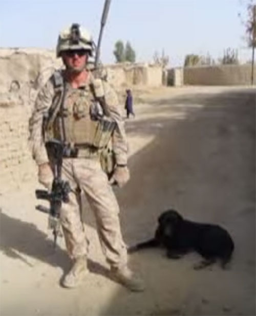 น้ำตาซึม คลิปทหารอำลาตูบร่วมสงครามเพื่อนยาก ก่อนชจะถูกการุณยฆาต น้ำตาซึม คลิปทหารอำลาตูบร่วมสงครามเพื่อนยาก ก่อนชจะถูกการุณยฆาต