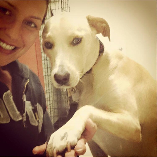 เจ้าตูบหัวใจสลาย นั่งซึมคอตก หลังถูกครอบครัวอุปการะส่งคืนสถานสงเคราะห์ เจ้าตูบหัวใจสลาย นั่งซึมคอตก หลังถูกครอบครัวอุปการะส่งคืนสถานสงเคราะห์