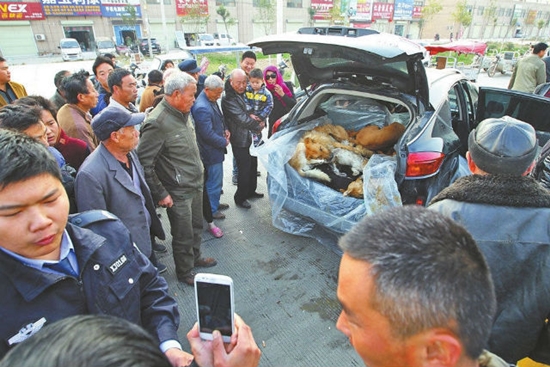 ชาวบ้านฉงน คนขับรถเก๋งรีบวิ่งหนีหลังรถชน เปิดท้ายรถผงะเจอซากสุนัขอัดแน่น ชาวบ้านฉงน คนขับรถเก๋งรีบวิ่งหนีหลังรถชน เปิดท้ายรถผงะเจอซากสุนัขอัดแน่น