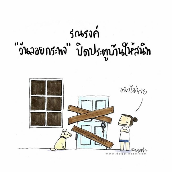 คนรักสัตว์แห่รณรงค์ป้องกันน้องหมาหาย ตกใจเสียงพลุคืนลอยกระทง คนรักสัตว์แห่รณรงค์ป้องกันน้องหมาหาย ตกใจเสียงพลุคืนลอยกระทง