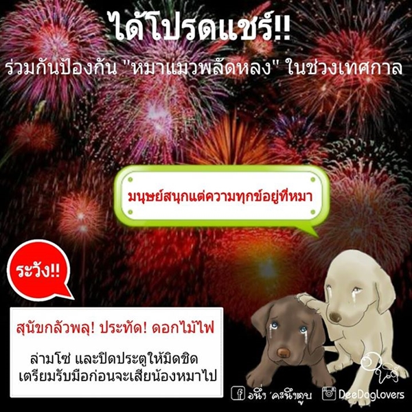 คนรักสัตว์แห่รณรงค์ป้องกันน้องหมาหาย ตกใจเสียงพลุคืนลอยกระทง คนรักสัตว์แห่รณรงค์ป้องกันน้องหมาหาย ตกใจเสียงพลุคืนลอยกระทง