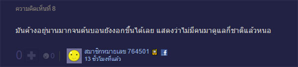 นี่หรือสภาพน้ำตกเจ็ดสาวน้อย ขยะเพียบ เห็นแล้วเพลีย ! นี่หรือสภาพน้ำตกเจ็ดสาวน้อย ขยะเพียบ เห็นแล้วเพลีย !