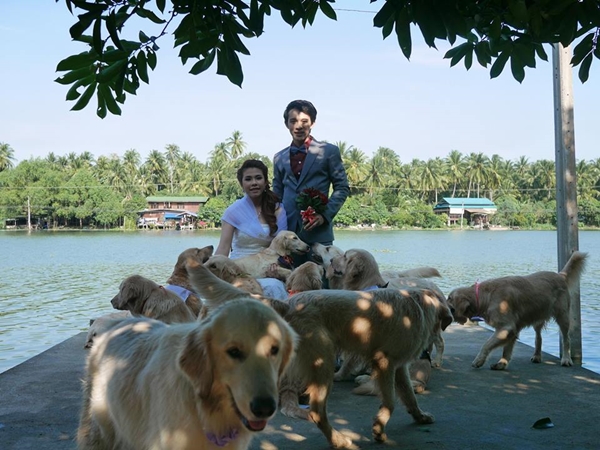 น่ารักสุด ๆ การถ่ายรูปพรีเวดดิ้งที่วุ่นวายที่สุดในปฐพี ดูแล้วยิ้มเลย น่ารักสุด ๆ การถ่ายรูปพรีเวดดิ้งที่วุ่นวายที่สุดในปฐพี ดูแล้วยิ้มเลย