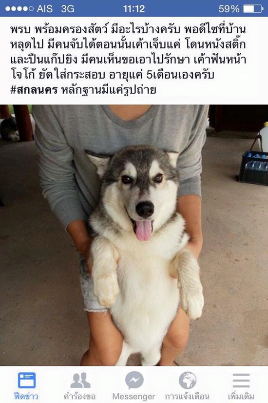 ฟังจากปากผู้ใหญ่บ้าน ปมสั่งฆ่าไซบีเรียน ฟังจากปากผู้ใหญ่บ้าน ปมสั่งฆ่าไซบีเรียน