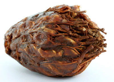 วิธีทําให้หน้าขาว วิธีทําให้หน้าขาว