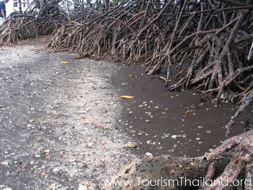 15 ที่เที่ยวระนอง พักผ่อนสบาย ๆ เมืองชายฝั่งทะเลตะวันตก 15 ที่เที่ยวระนอง พักผ่อนสบาย ๆ เมืองชายฝั่งทะเลตะวันตก