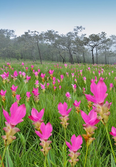 12 เมืองต้องห้าม...พลาด Plus ที่ที่มีของดีซ่อนอยู่เพียบ 12 เมืองต้องห้าม...พลาด Plus ที่ที่มีของดีซ่อนอยู่เพียบ