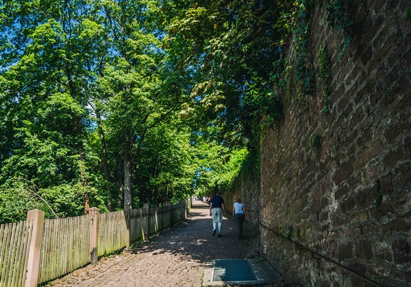 เยือน Heidelberg เมืองแสนโรแมนติกในเยอรมนี เยือน Heidelberg เมืองแสนโรแมนติกในเยอรมนี