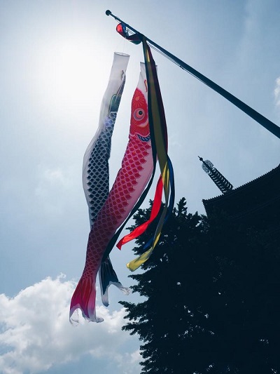 เที่ยวญี่ปุ่น เที่ยวญี่ปุ่น