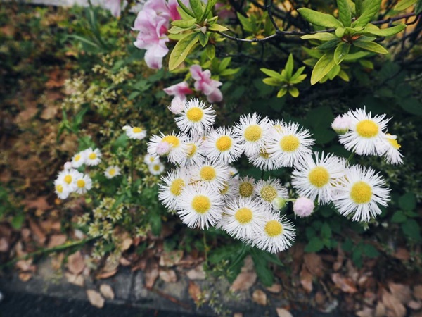 เที่ยวญี่ปุ่น เที่ยวญี่ปุ่น