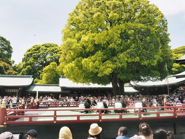 เที่ยวญี่ปุ่น เที่ยวญี่ปุ่น