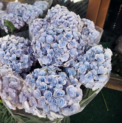 เที่ยวญี่ปุ่น เที่ยวญี่ปุ่น