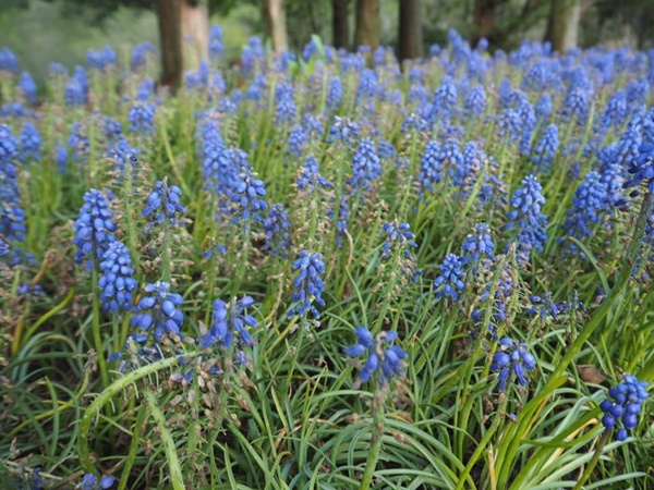 เที่ยวญี่ปุ่น เที่ยวญี่ปุ่น