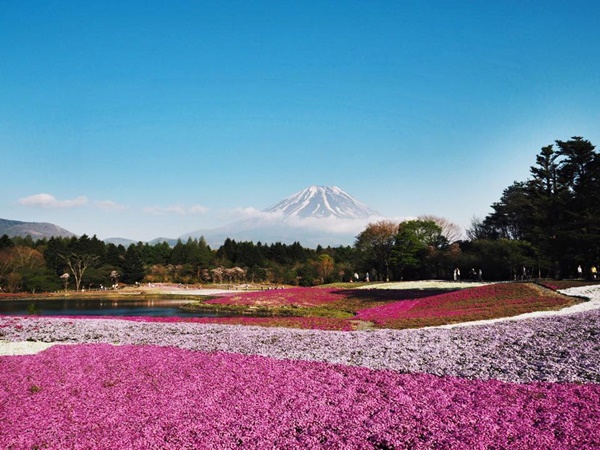 เที่ยวญี่ปุ่น เที่ยวญี่ปุ่น