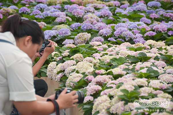 เที่ยวบุรีรัมย์ เที่ยวบุรีรัมย์