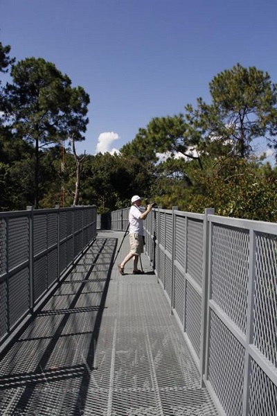 Canopy Walkway Canopy Walkway
