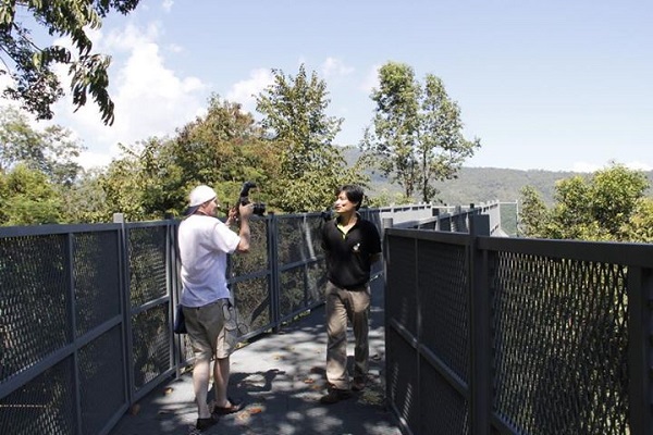 Canopy Walkway Canopy Walkway