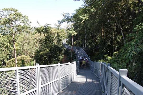 Canopy Walkway Canopy Walkway