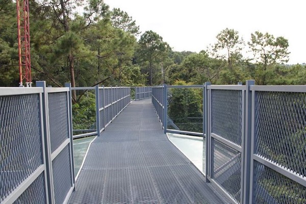 Canopy Walkway Canopy Walkway