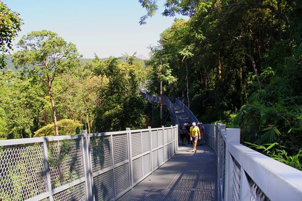 Canopy Walkway Canopy Walkway
