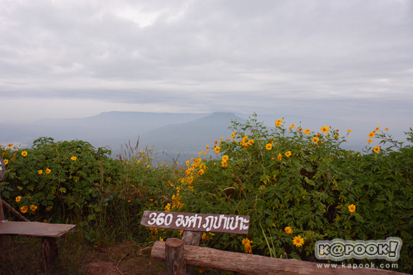 ภูป่าเปาะ ภูป่าเปาะ