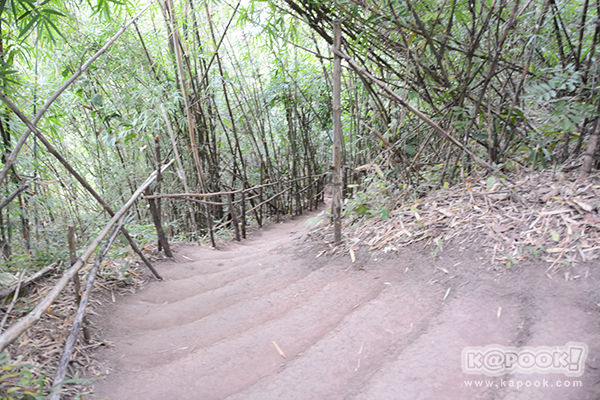 ภูป่าเปาะ ภูป่าเปาะ