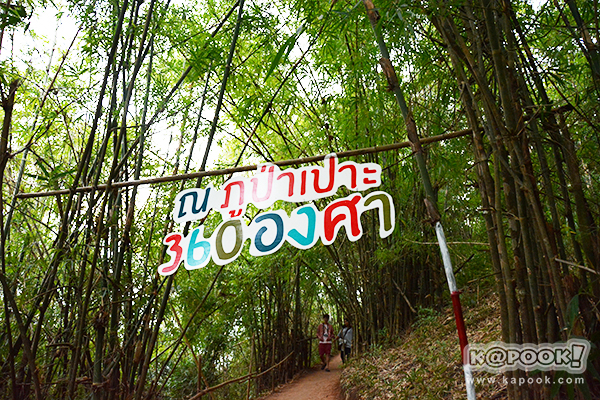 ภูป่าเปาะ ภูป่าเปาะ