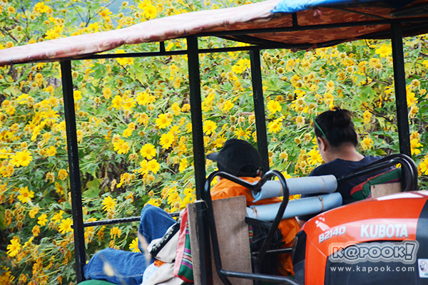 ภูป่าเปาะ ภูป่าเปาะ