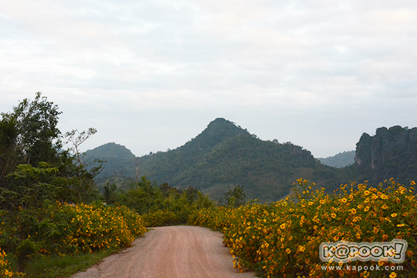 ภูป่าเปาะ ภูป่าเปาะ