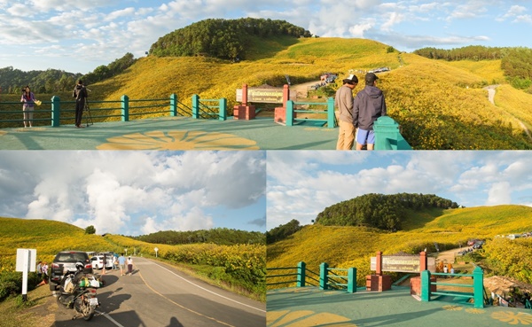 เที่ยวดอยหลวงเชียงดาว เที่ยวดอยหลวงเชียงดาว
