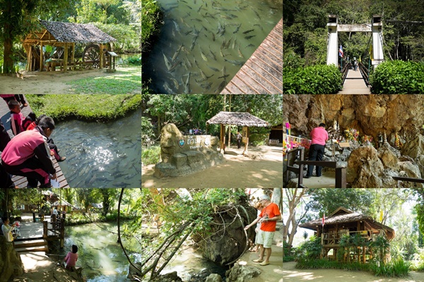 เที่ยวดอยหลวงเชียงดาว เที่ยวดอยหลวงเชียงดาว