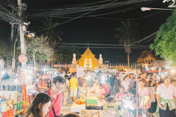 เที่ยวดอยหลวงเชียงดาว เที่ยวดอยหลวงเชียงดาว