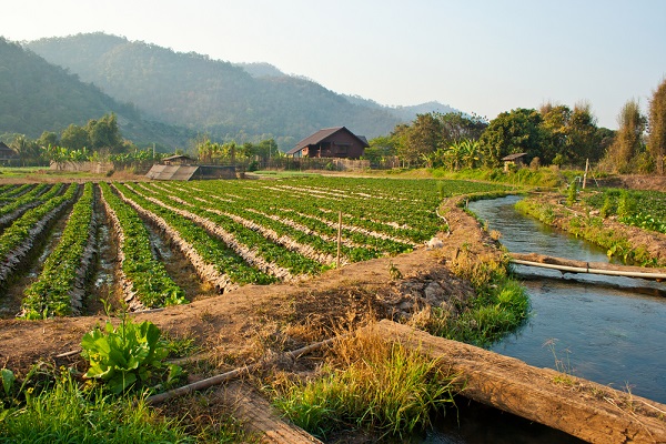 ที่เที่ยวเชียงใหม่ ที่เที่ยวเชียงใหม่