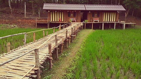 ที่เที่ยวเชียงใหม่ ที่เที่ยวเชียงใหม่