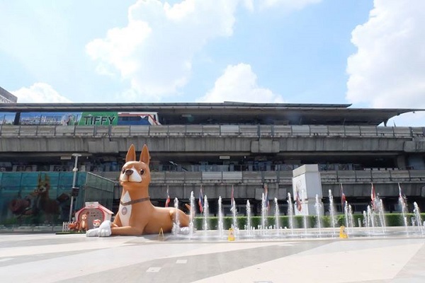 สถานที่ดูไฟและถ่ายรูปกับต้นคริสต์มาสสวย ๆ สถานที่ดูไฟและถ่ายรูปกับต้นคริสต์มาสสวย ๆ
