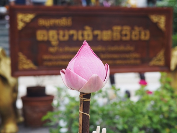 เที่ยวเชียงใหม่ เที่ยวเชียงใหม่