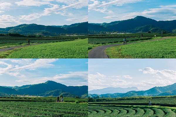 ทริปตะลอนเที่ยวเชียงใหม่-ลาว-เชียงราย ไปแบบงง ๆ ทริปตะลอนเที่ยวเชียงใหม่-ลาว-เชียงราย ไปแบบงง ๆ