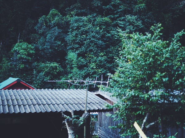 เที่ยวเชียงใหม่ เที่ยวเชียงใหม่