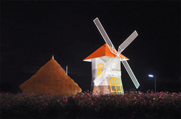 ทุ่งดอกคอสมอส ทุ่งดอกคอสมอส