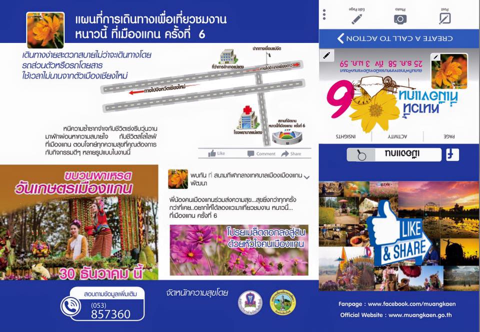 ทุ่งดอกคอสมอส ทุ่งดอกคอสมอส