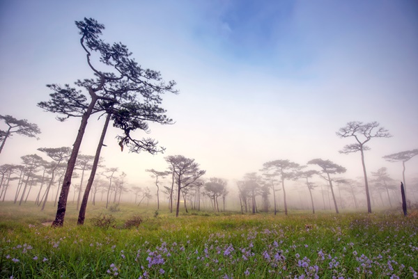 ดอยสูงและวิวสวยของเมืองไทย ดอยสูงและวิวสวยของเมืองไทย