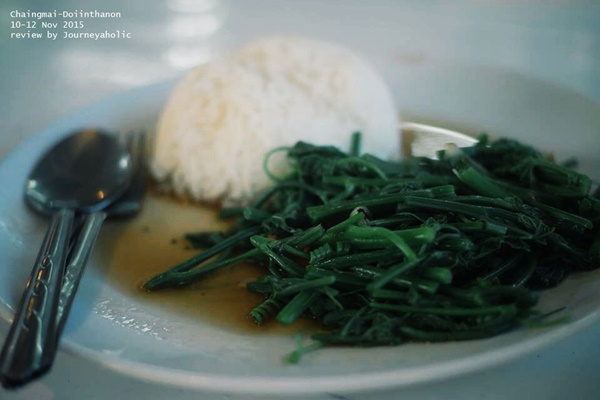 เที่ยวเชียงใหม่ เที่ยวเชียงใหม่