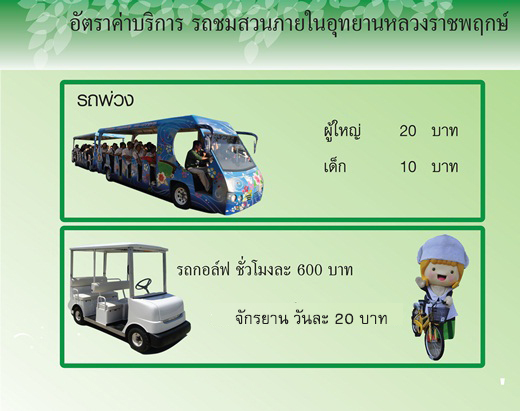 เทศกาลชมสวน เทศกาลชมสวน